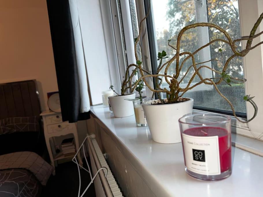 1-Bed Flat With Fast Wi-Fi In Prime Location 15Mins From Central Londra Dış mekan fotoğraf