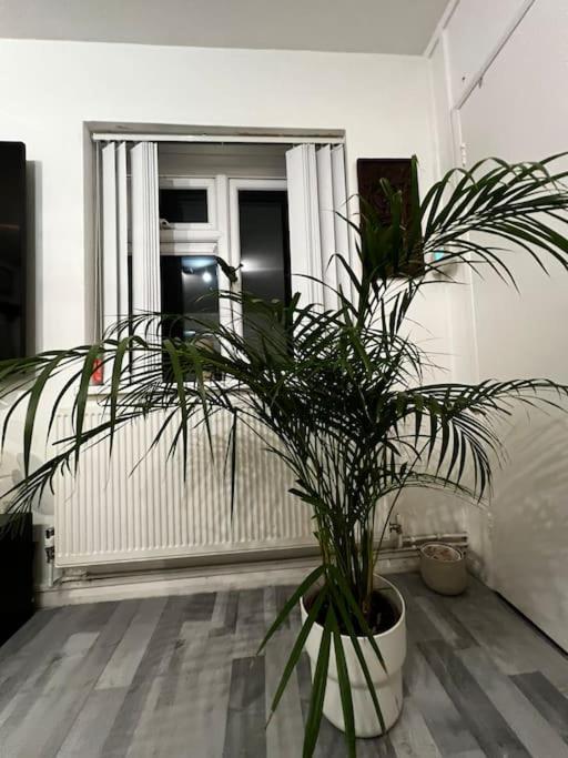 1-Bed Flat With Fast Wi-Fi In Prime Location 15Mins From Central Londra Dış mekan fotoğraf